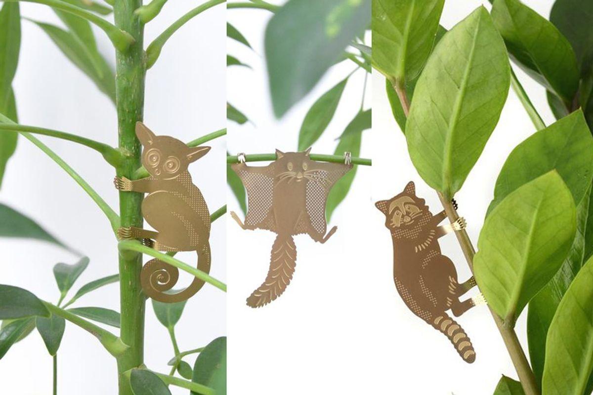 S/3 Plant Animals - Galago & co