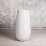 Snake Plant Laurentii - White Flute Pot