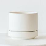 Fiddle Leaf Fig Plant - White Scandinavian Ceramic