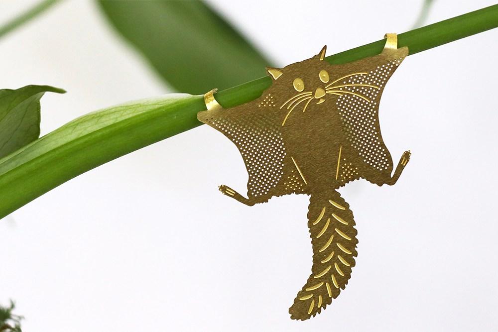 Plant Animal Ecureuil volant