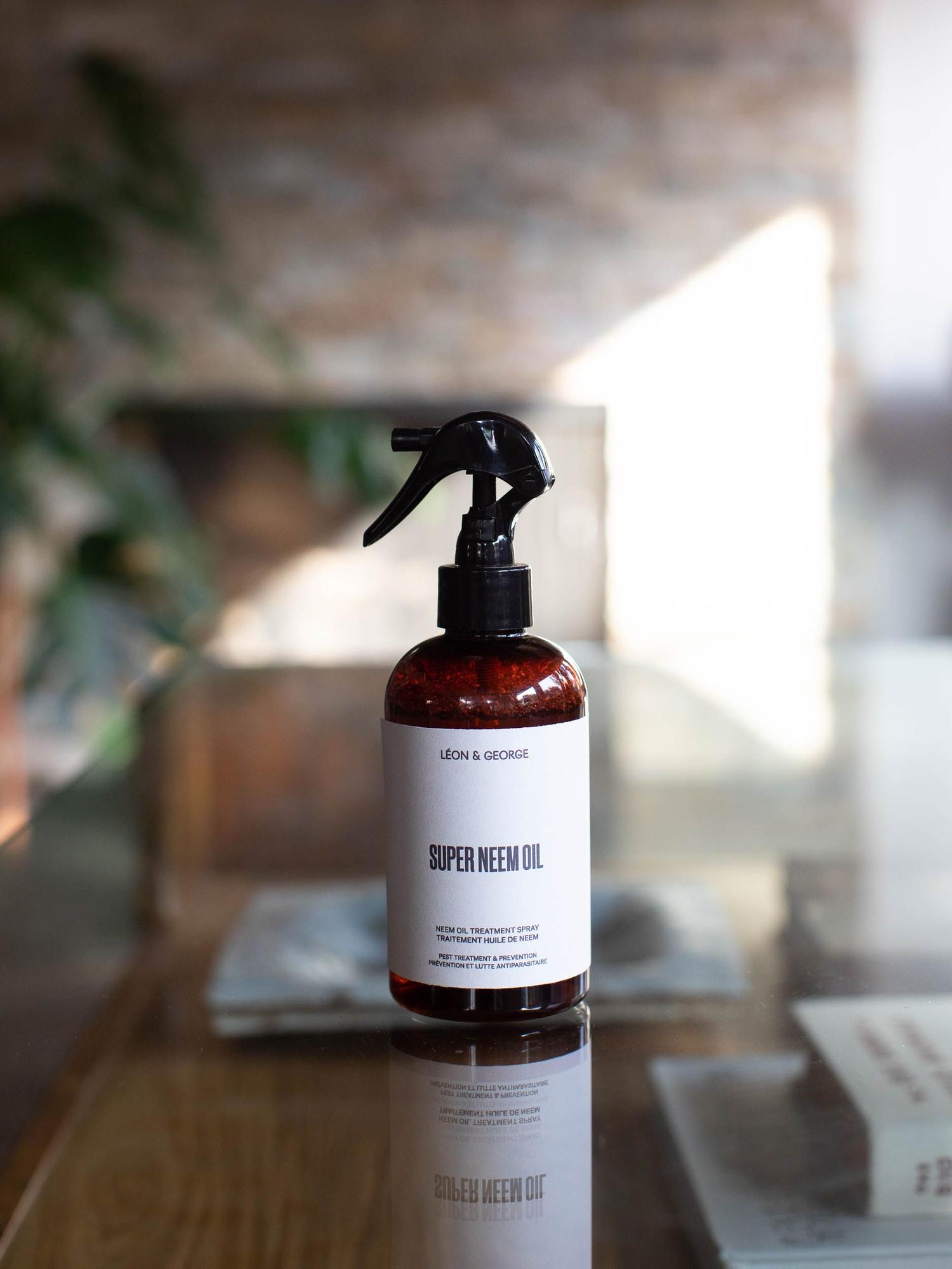 Restorative Plant Care Essentials