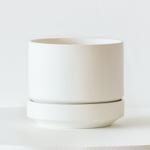 Cascading Pothos - Scandinavian - White Scandinavian Ceramic