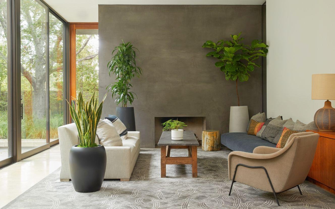 Exceptional Indoor Greenery