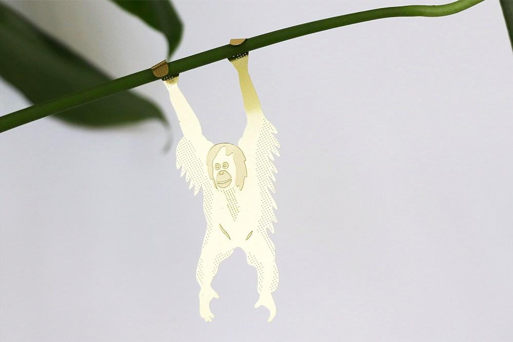 Plant Animal Orang Outan