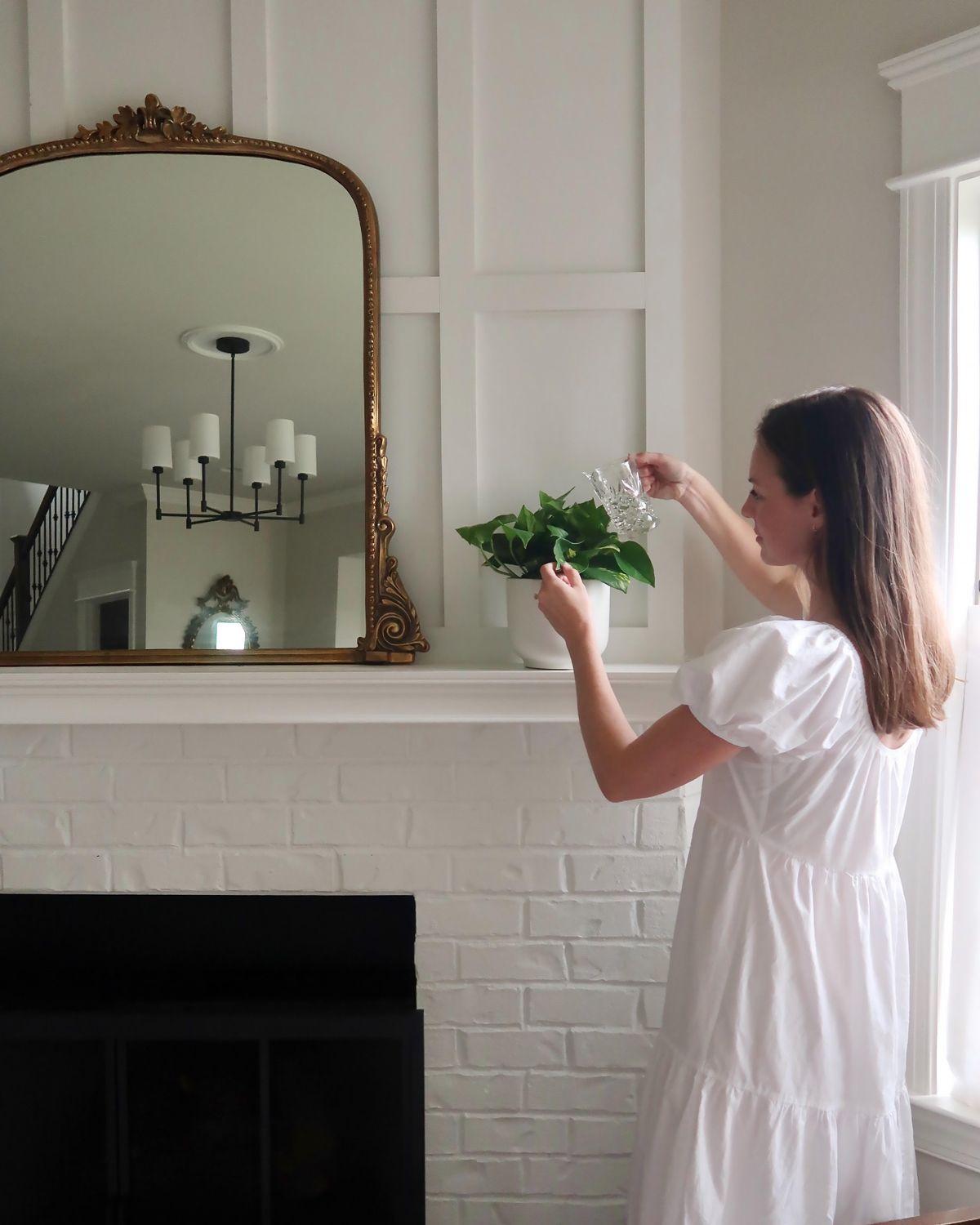 Cascading Pothos