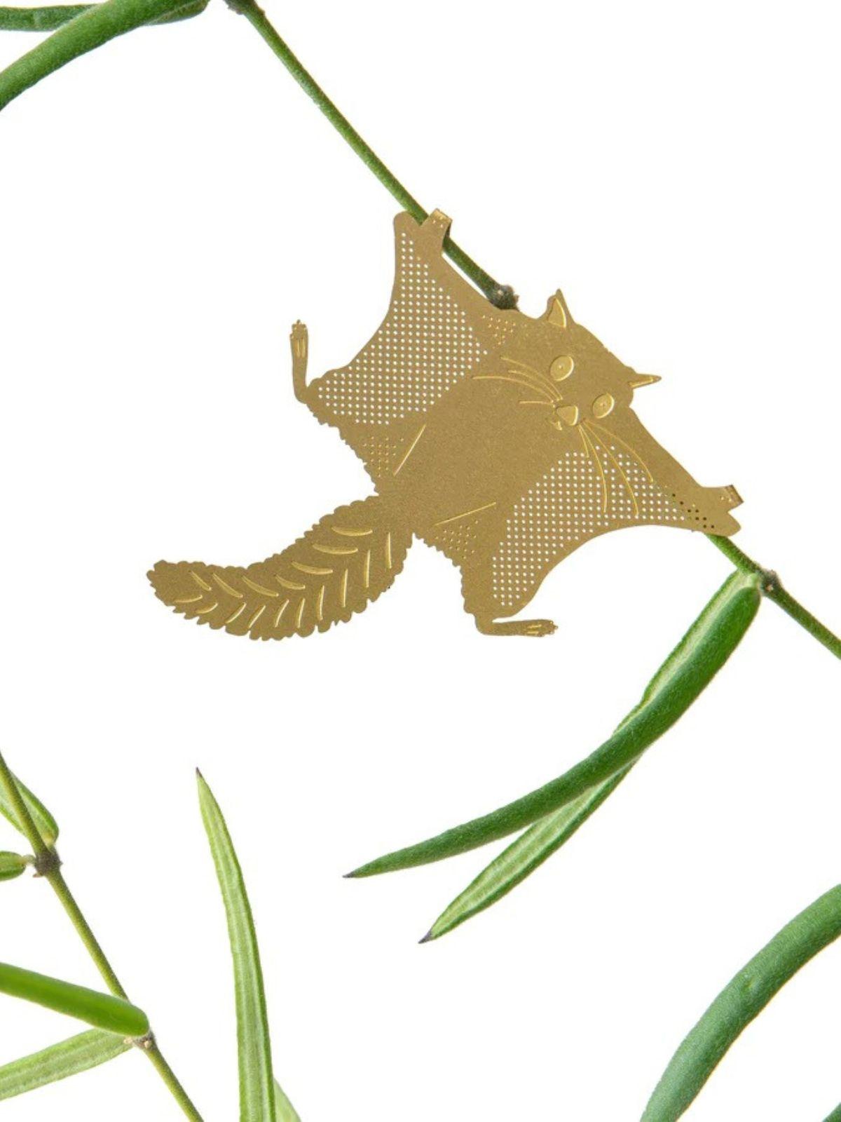 Plant Animal - Flying Squirrel