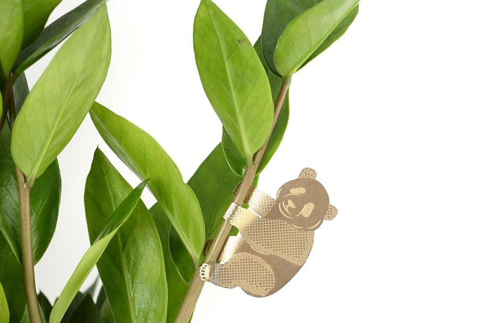Plant Animal Panda