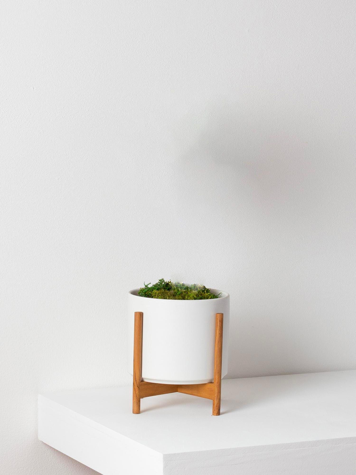 Cache-pot Velvet Blanc - Le 20 - Le 20 - Velvet blanc mid-century Jatoba - Grade B 