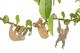 S/3 Plant Animals - Paresseux & co