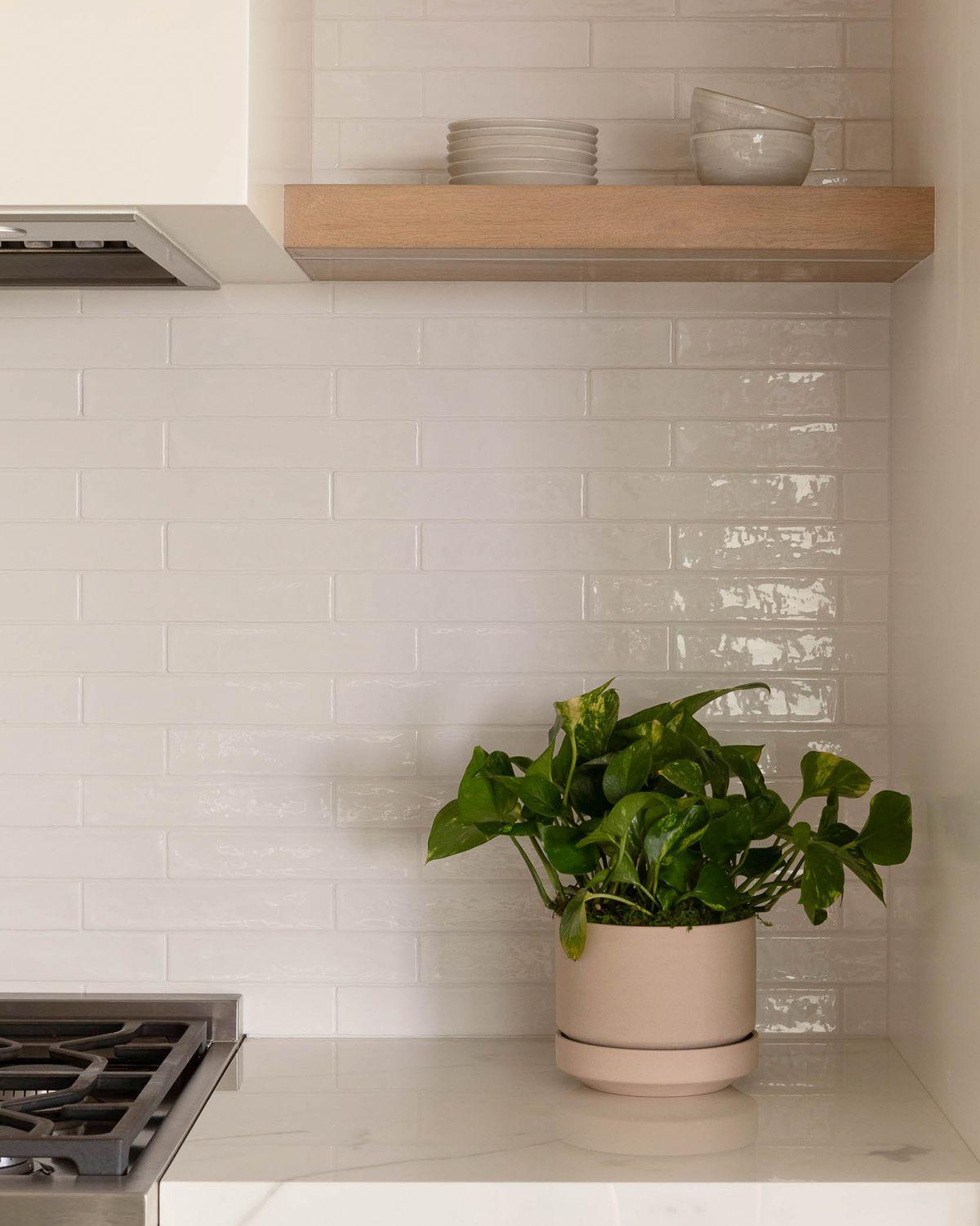 Cascading Pothos