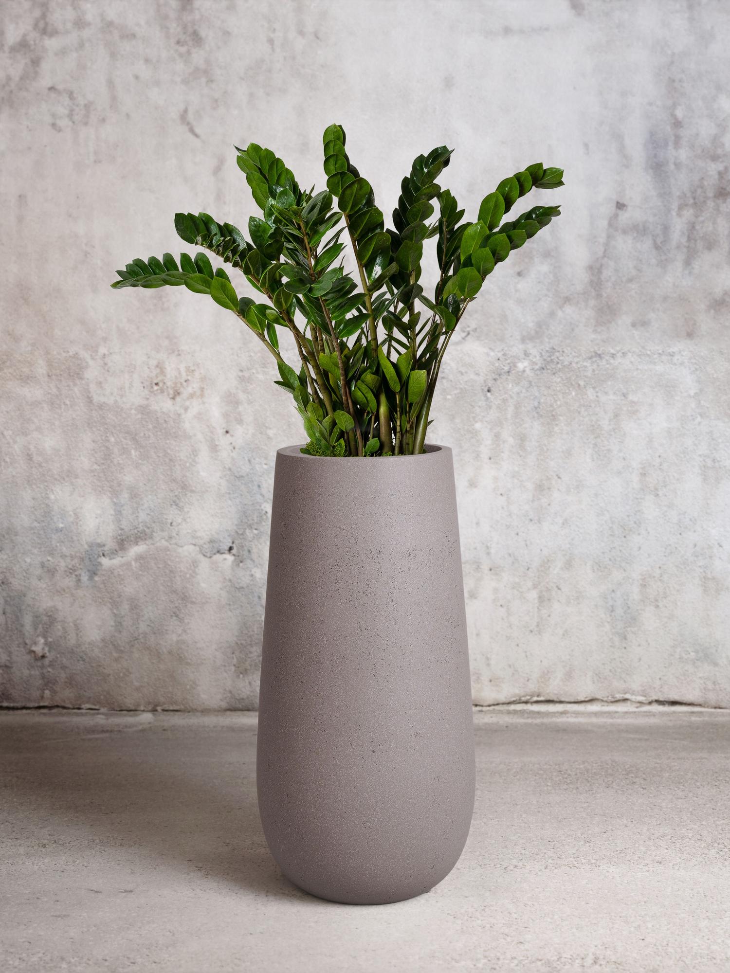 Zanzibar Gem - Cement Gray Flute Pot 