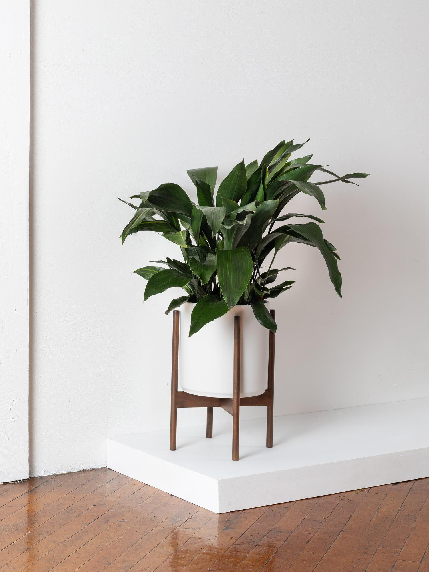 Ceramic Planter - The Ten