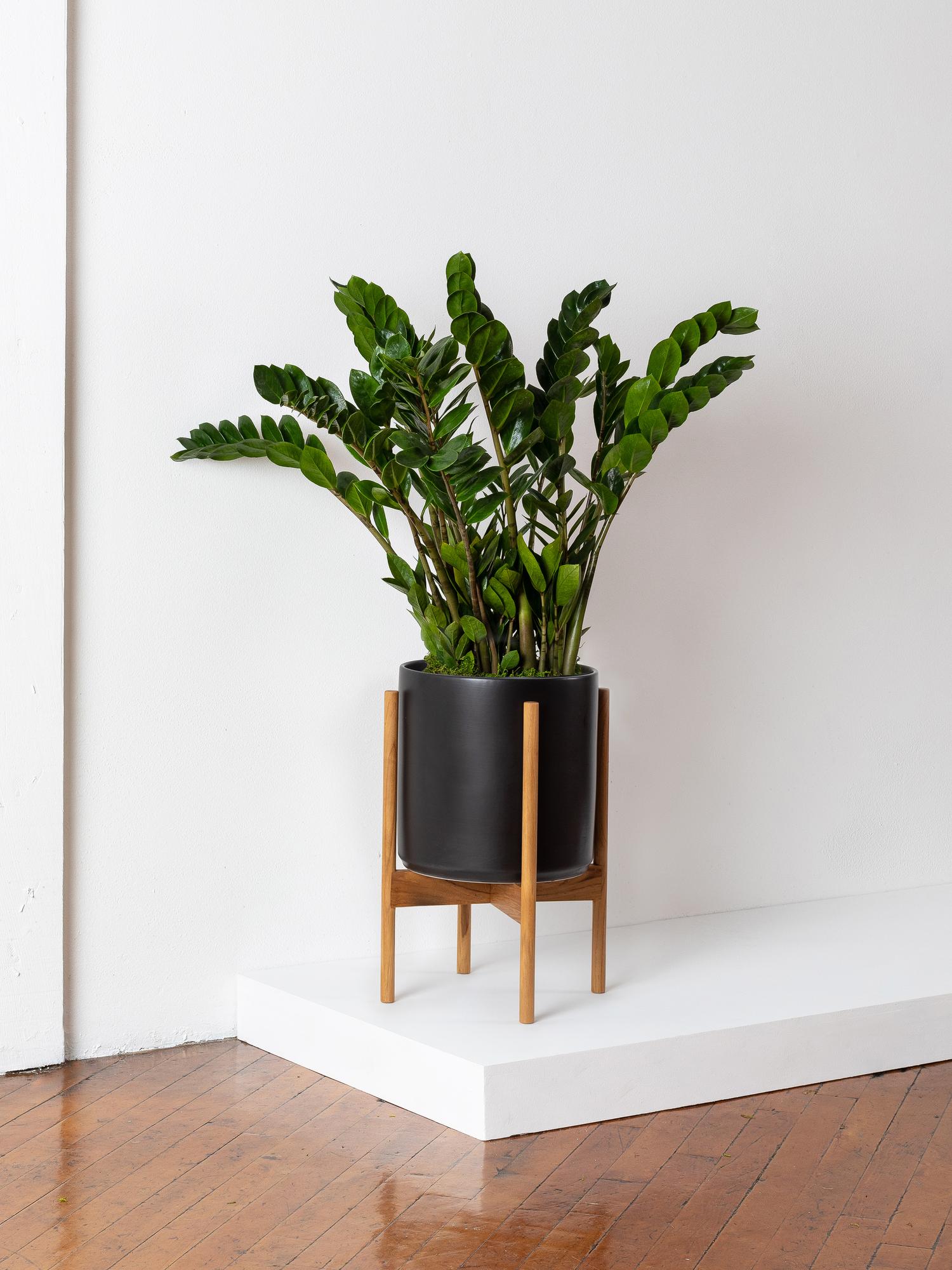 Zanzibar Gem - Black Mid-Century Ceramic & Light Wood Stand 