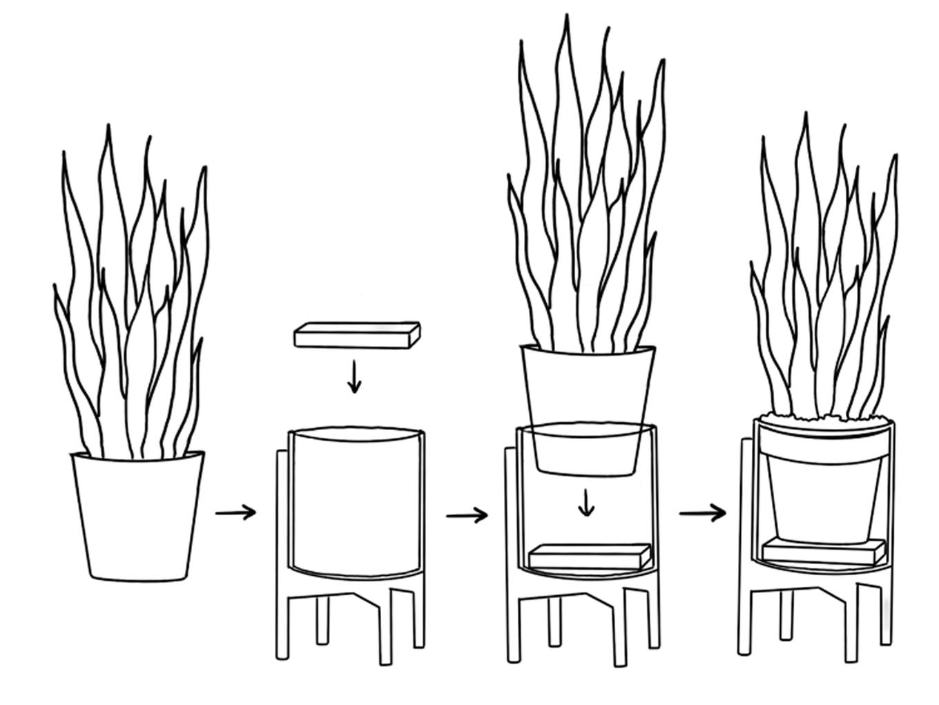 Indoor plant staging
