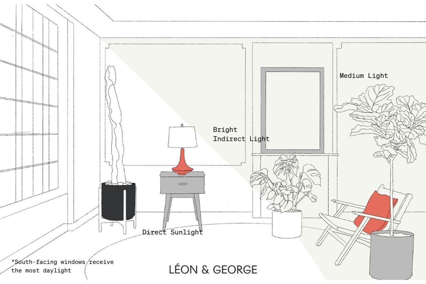 South facing window light guide