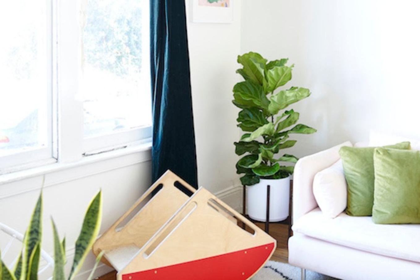Fiddle Leaf Fig Bush in a cozy, colorful living room with Mid-Century Pot