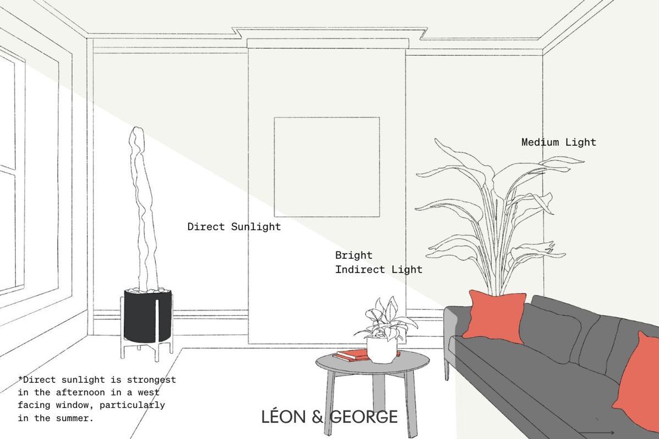 West facing window light guide for plants
