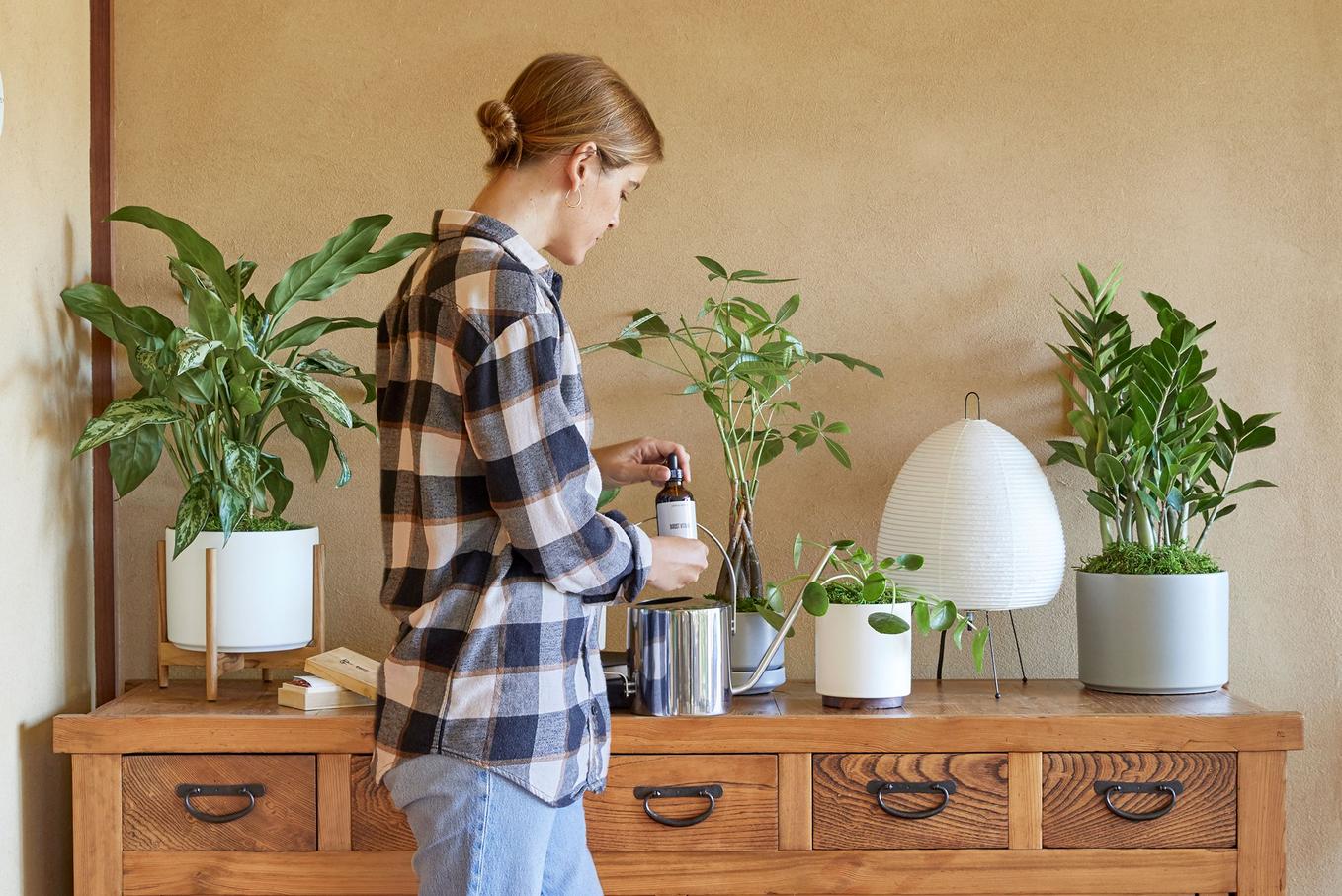 Plant Doctor Service