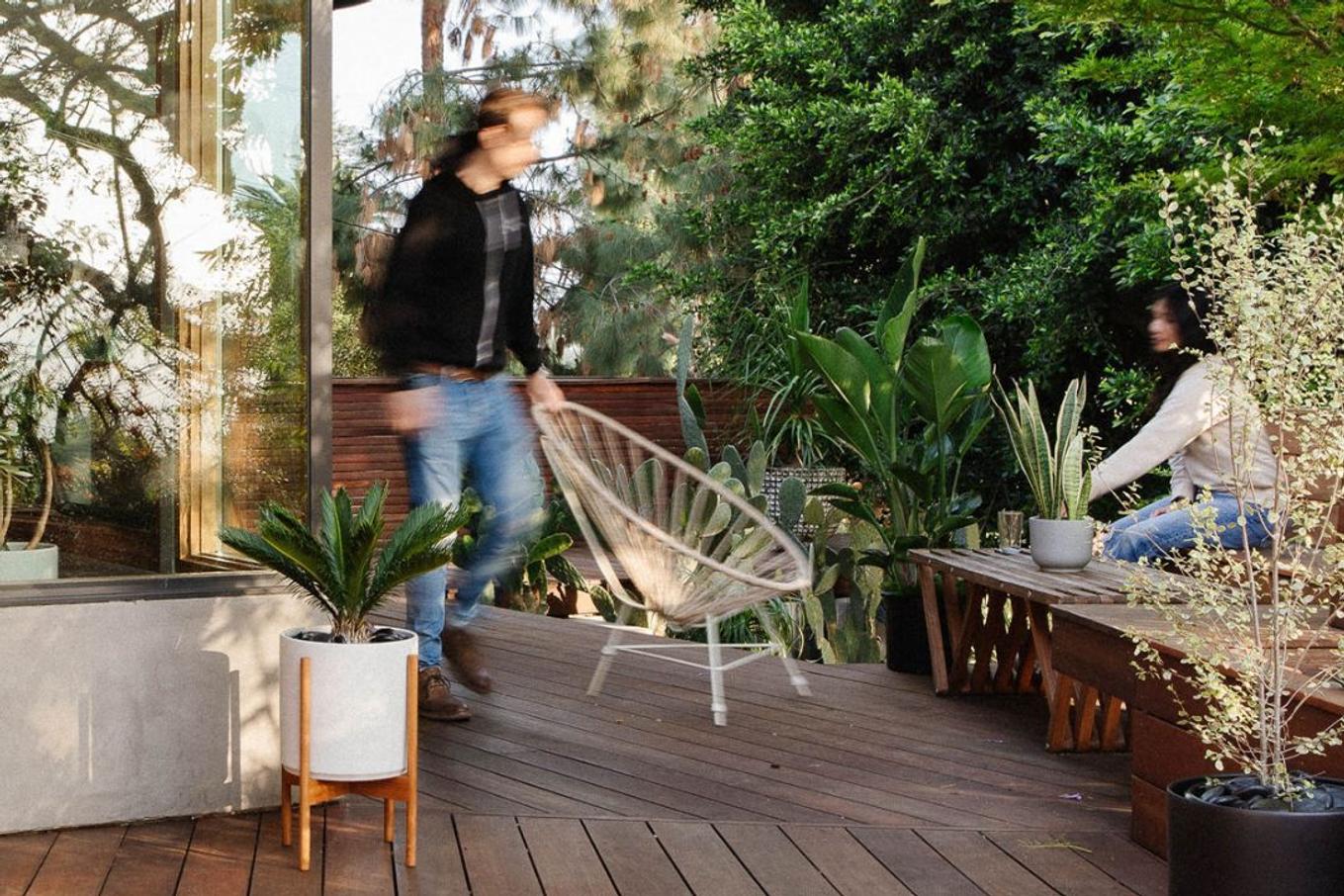 Wooded deck with live greenery