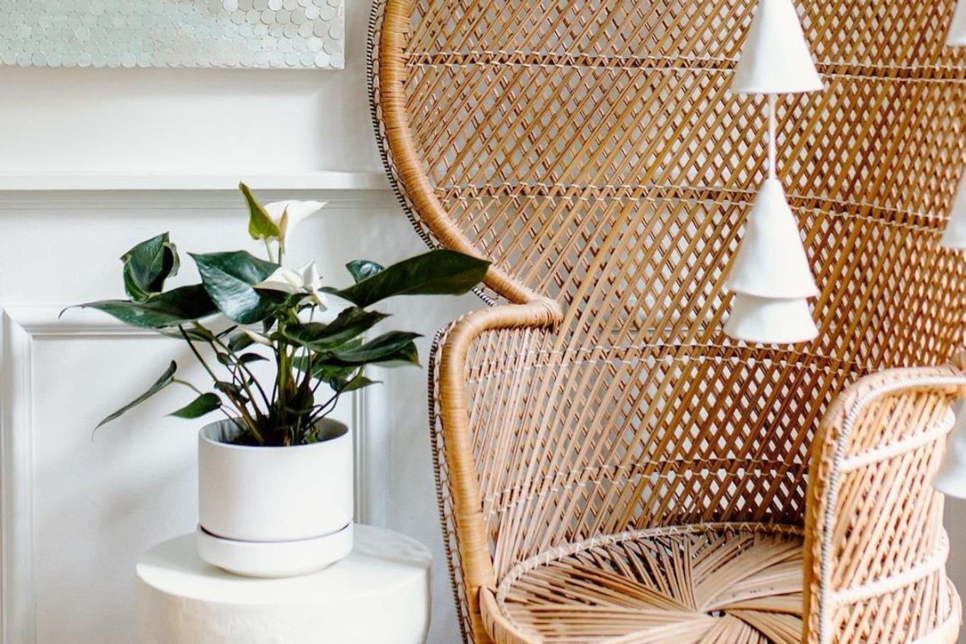Anthurium plant on a side table next to a decorative chair