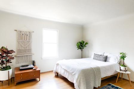 The Absolute Best Plants for the Bedroom