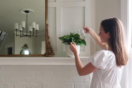 6 Benefits of Owning Plants