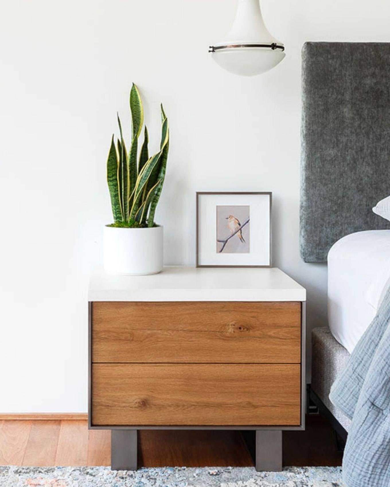 A Snake Plant on a bedside table