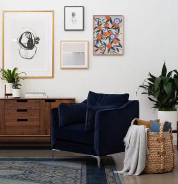 The Absolute Best Plants for a Basement Transformation