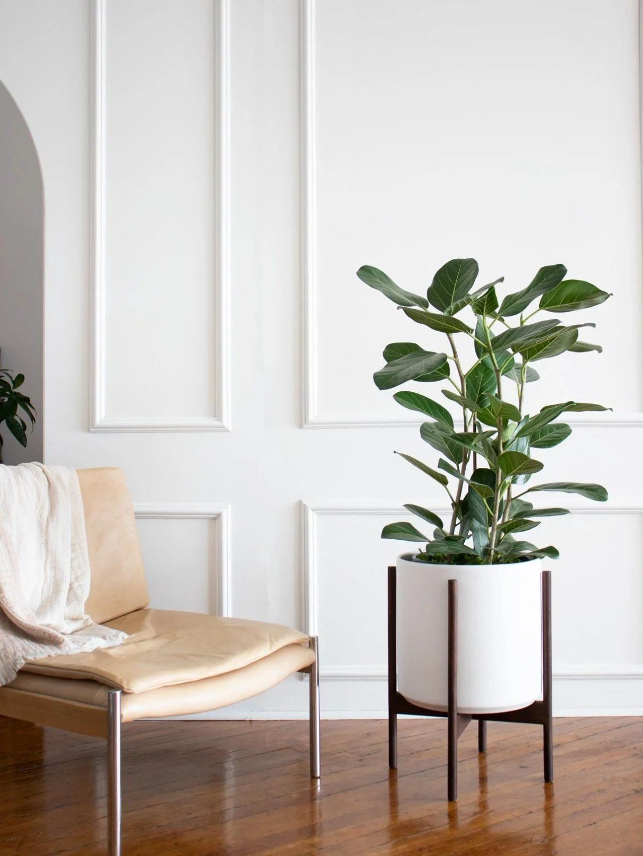 Statement plants in a loft apartment from Leon & George