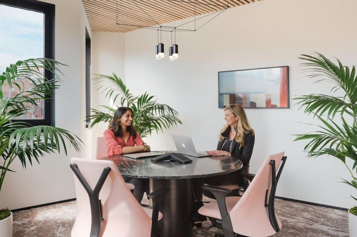 Decorative office plants adorning two women in a conference room