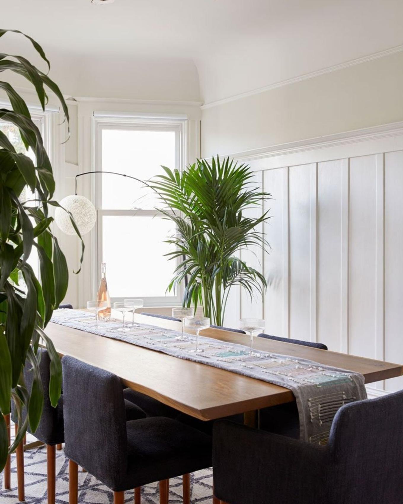 Kentia palm in dining room corner