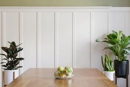 The Absolute Best Plants for the Dining Room