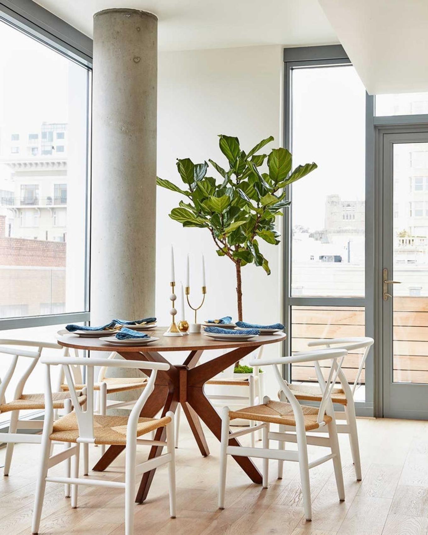 Bright dining room decorated with a large Fiddle Leaf Fig Tree