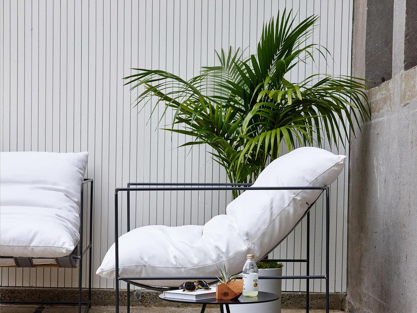 How boost Airbnb Bookings with plants
