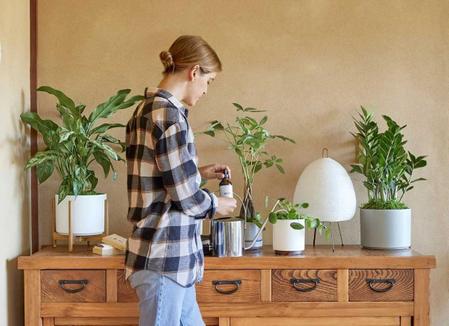 Fertilizing Guides