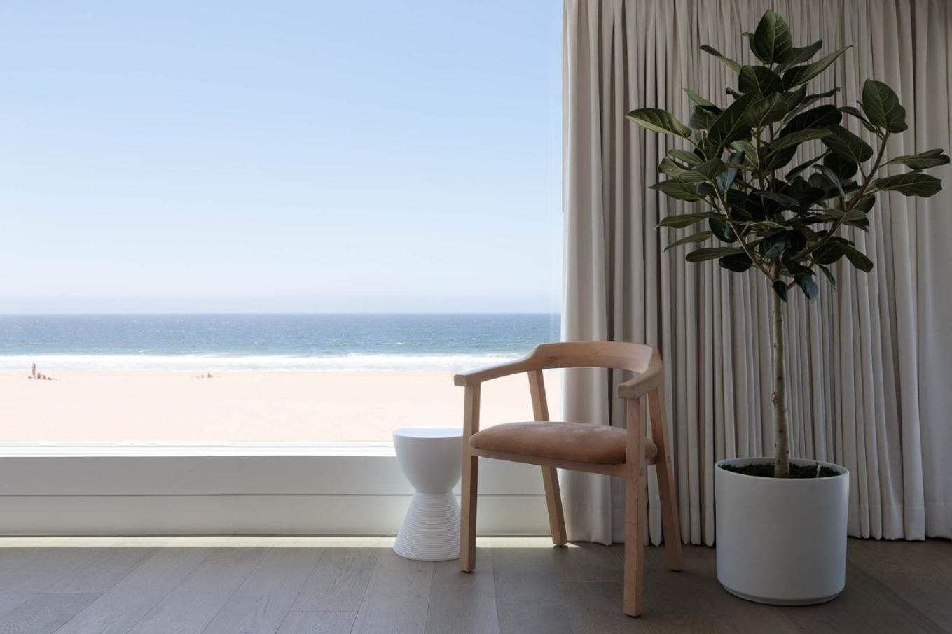 A Ficus Audrey Tree decorating a bright seaside living room.