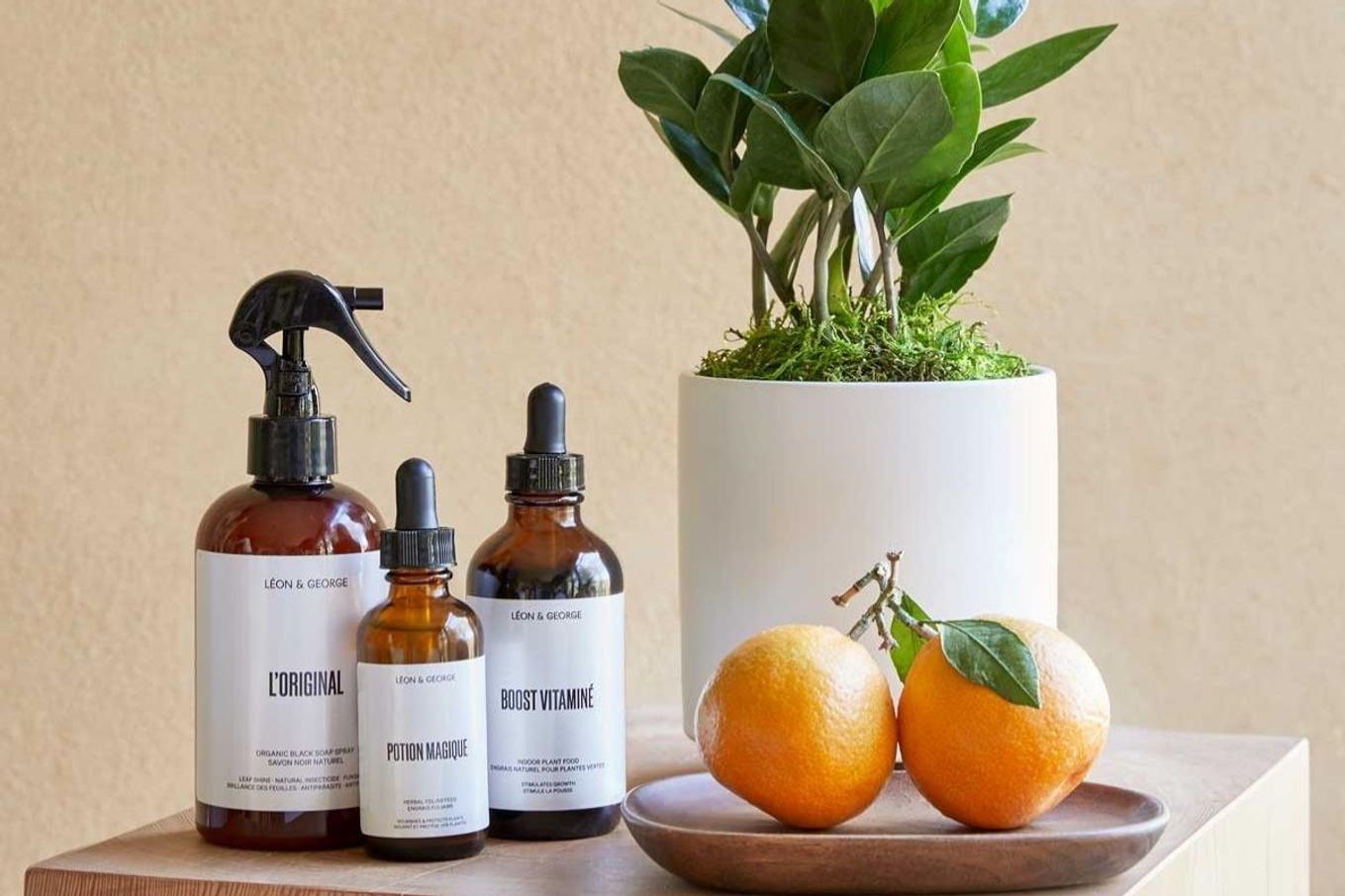 Accessory gifts for plant lovers