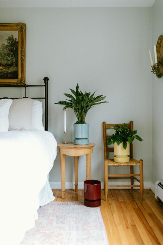 A romantic bedroom decorated with colorful planters with plants