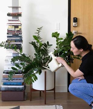 3 Strategies to Avoid Overwatering Your Plants