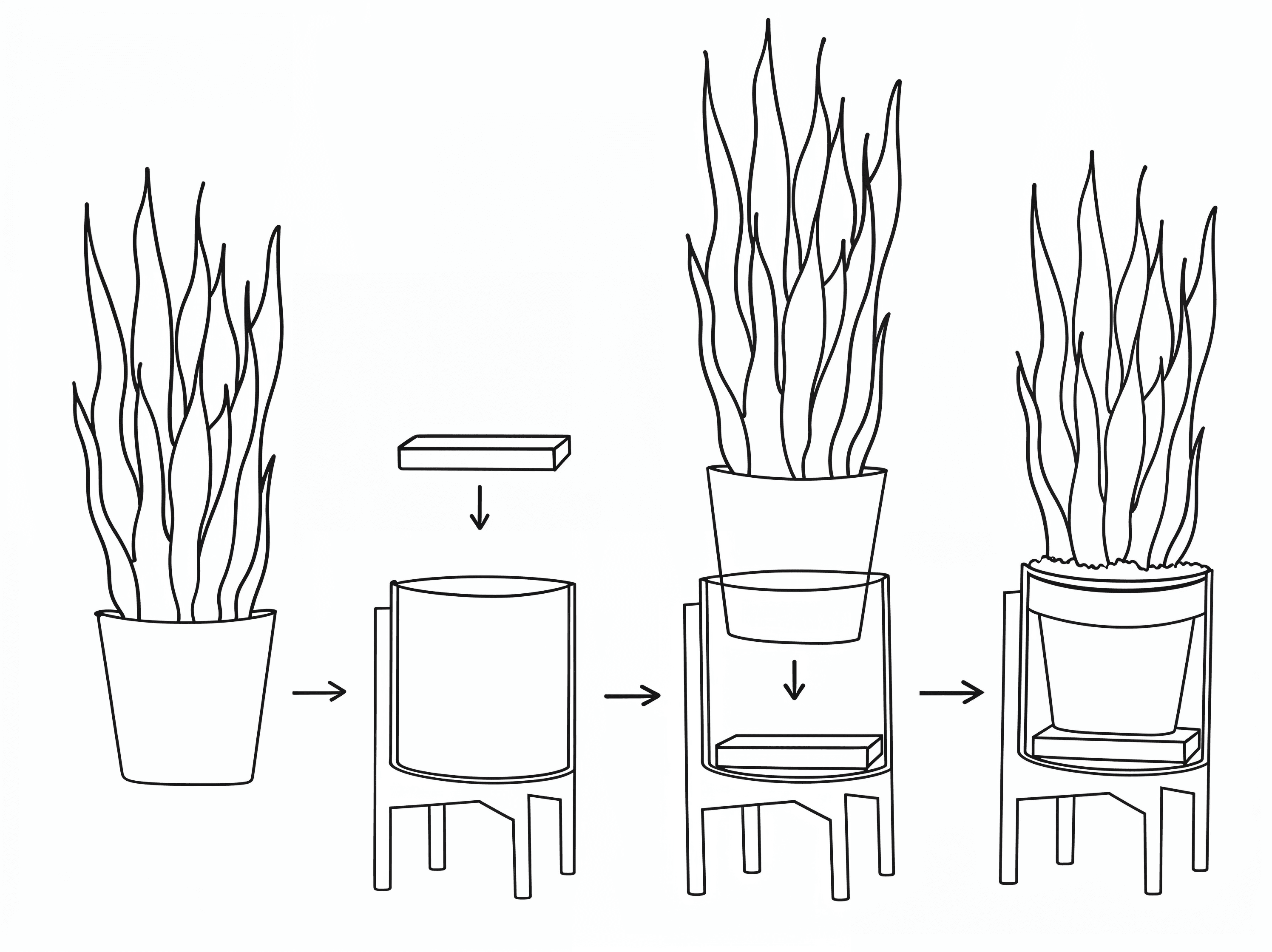 Illustration showing how to place a nursery plant into a decorative pot using the included staging block