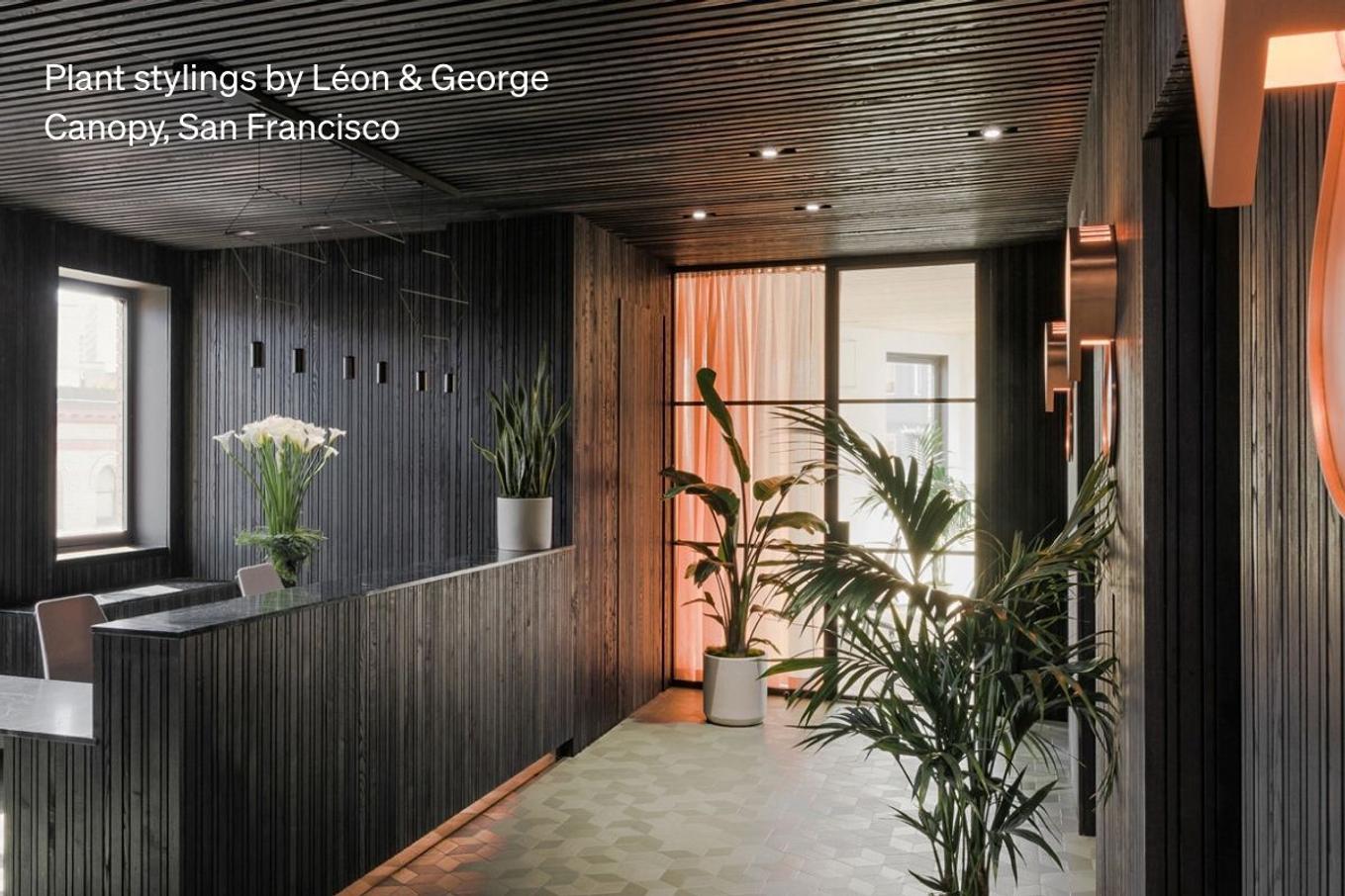 An office lobby decorated with plants