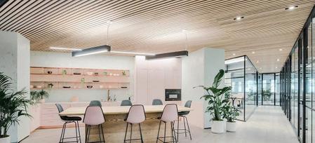 The Top 4 Office Plants to Inspire Creativity