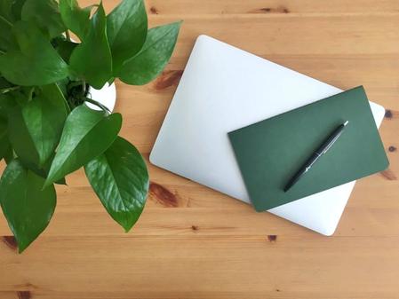 Office Plant Guides