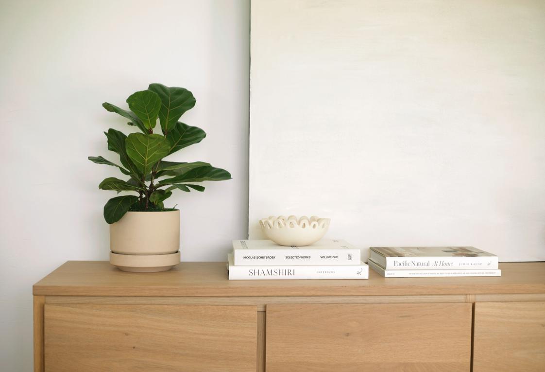 Plants with soft, rounded foliage to create texture and warmth