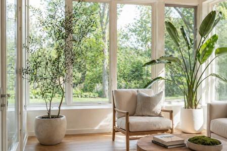 The Best Plants for a Sunroom