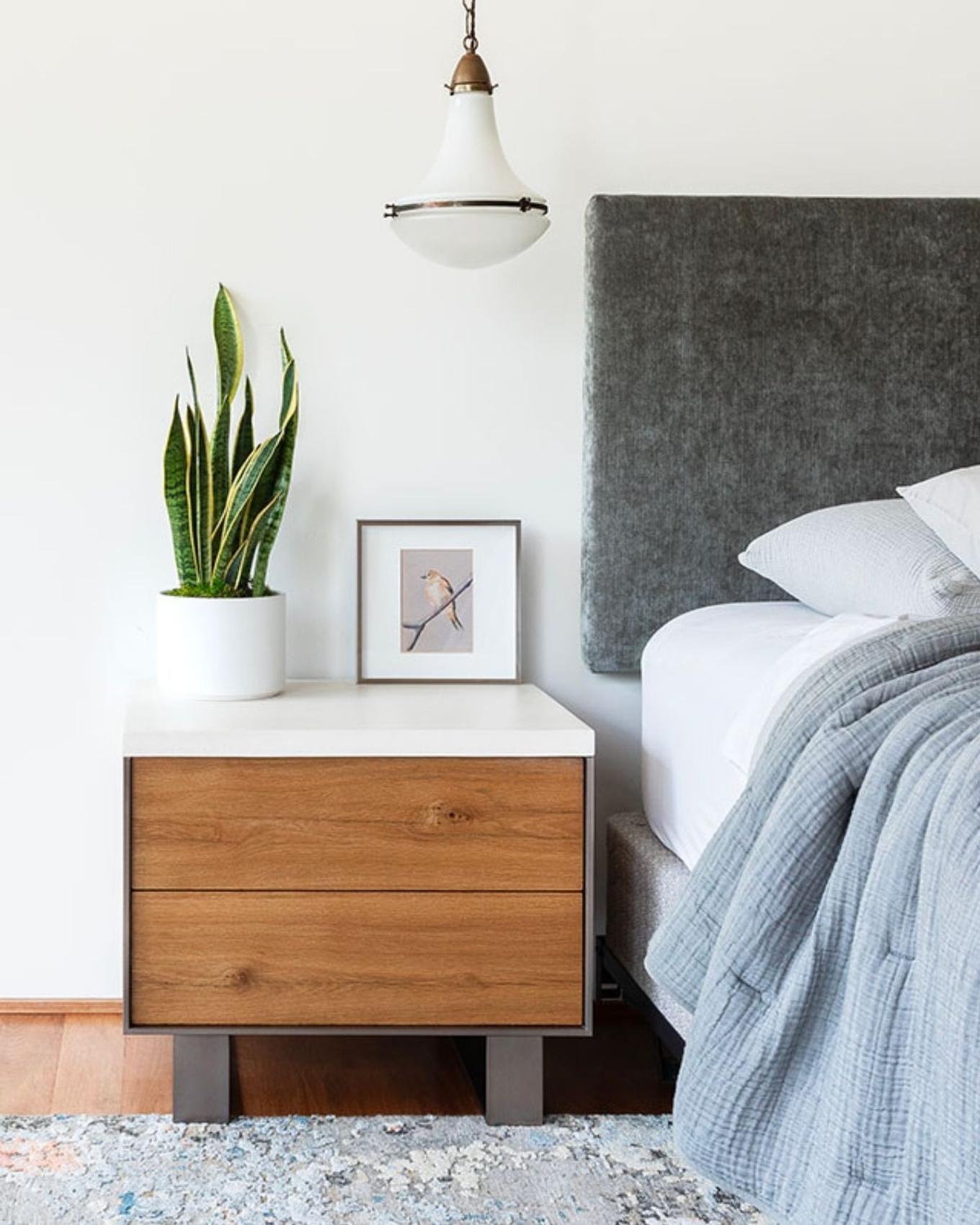 Beste Zimmerpflanze für den Stier - Sansevieria (Sansevieria Laurentii) in einem hellen Schlafzimmer