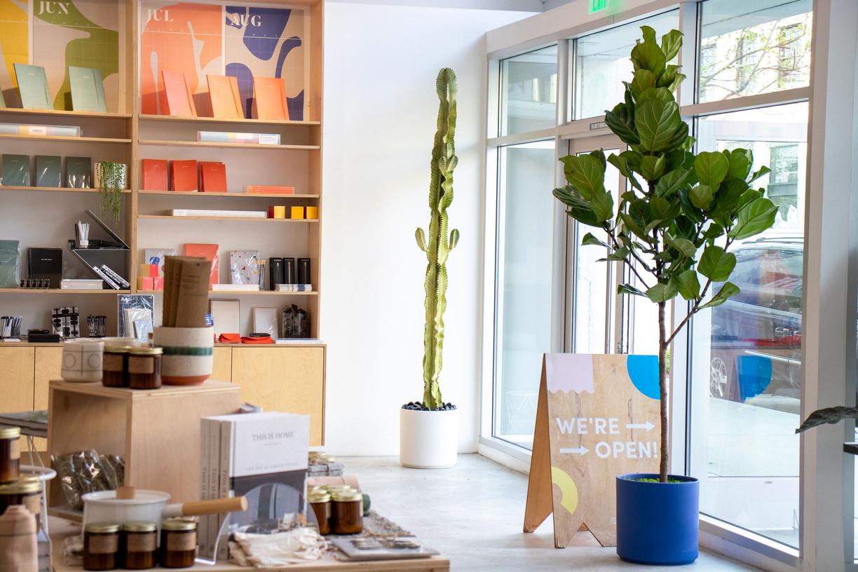 modern retail store entrance featuring tall indoor plants in minimalist pots — a Euphorbia cactus in a white planter and a Fiddle Leaf Fig in a blue planter beside a “We’re Open” sign