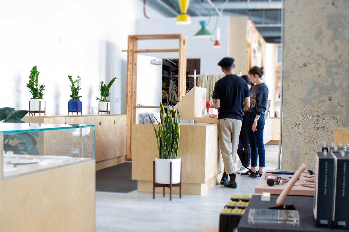 A retail design team collaborates inside a modern store featuring light wood fixtures and lush indoor plants in designer pots.