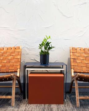 The Best Easy Care Office Plants